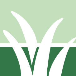 Lawn Disease Control Service Pros