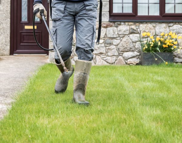 Lawn Disease Prevention