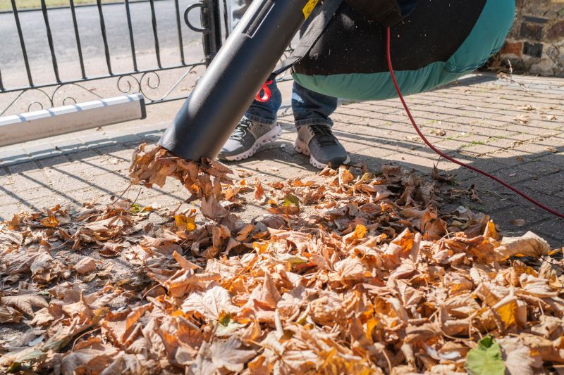Leaf Blower in Action