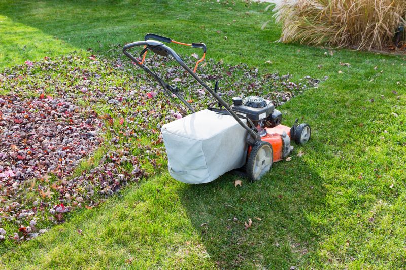 Clean Lawn Before Winter