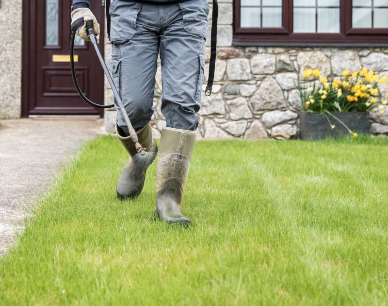 Lawn Disease Control Service in Spring